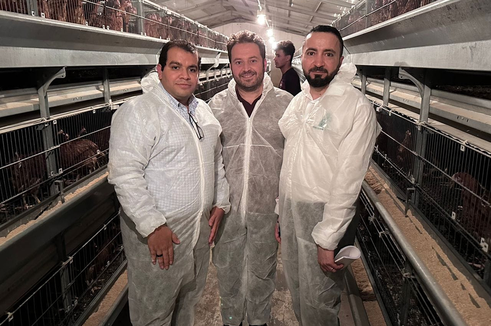 Laying and maternal health